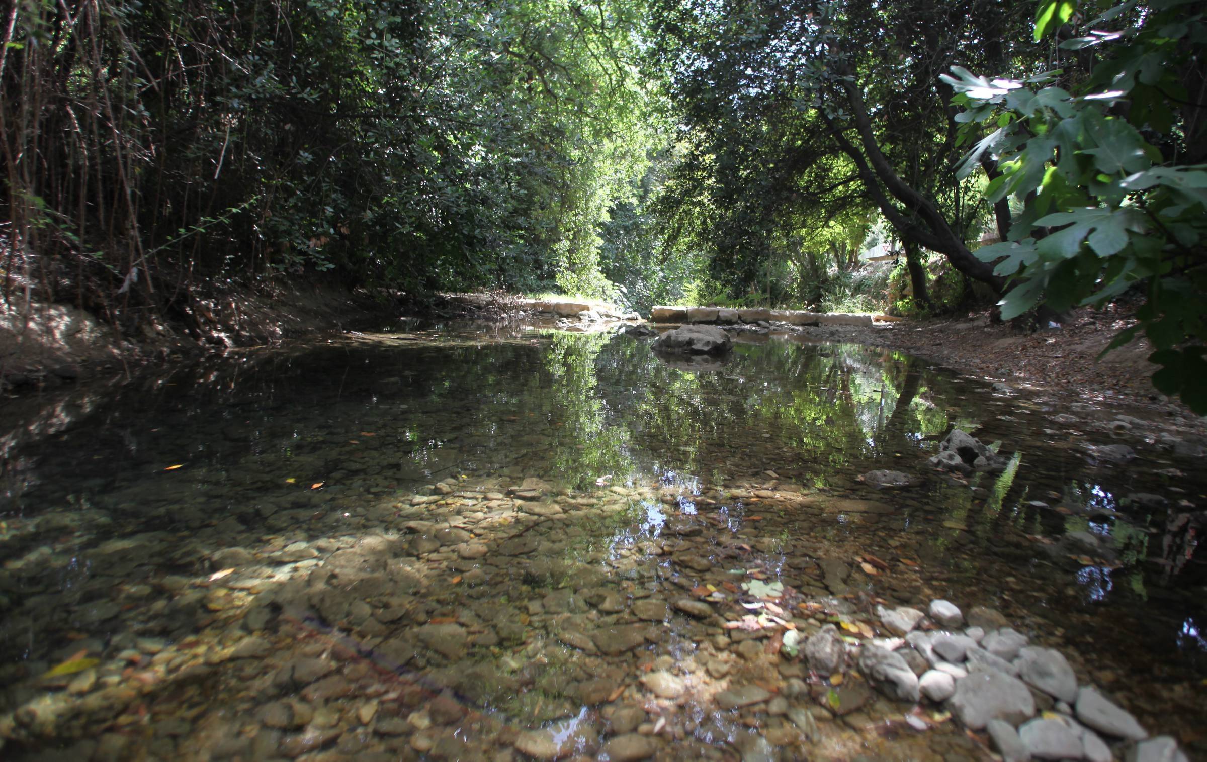 "L'eau c'est la vie, mais l'eau c'est la mort aussi": quel est l'impact du réchauffement de la température de l'eau douce sur la faune et la flore?