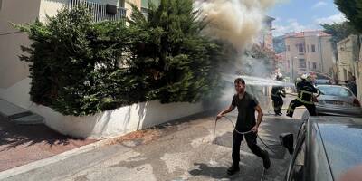 Pompiers et riverains mobilisés pour éteindre un feu de haie à Nice