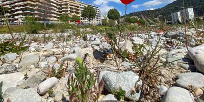 Risque d'inondations à Nice: le Paillon est-il le 