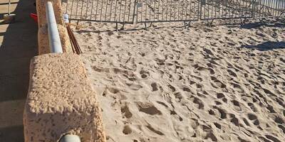 Après Porquerolles, une tortue marine choisit une nouvelle plage du Var pour faire son nid