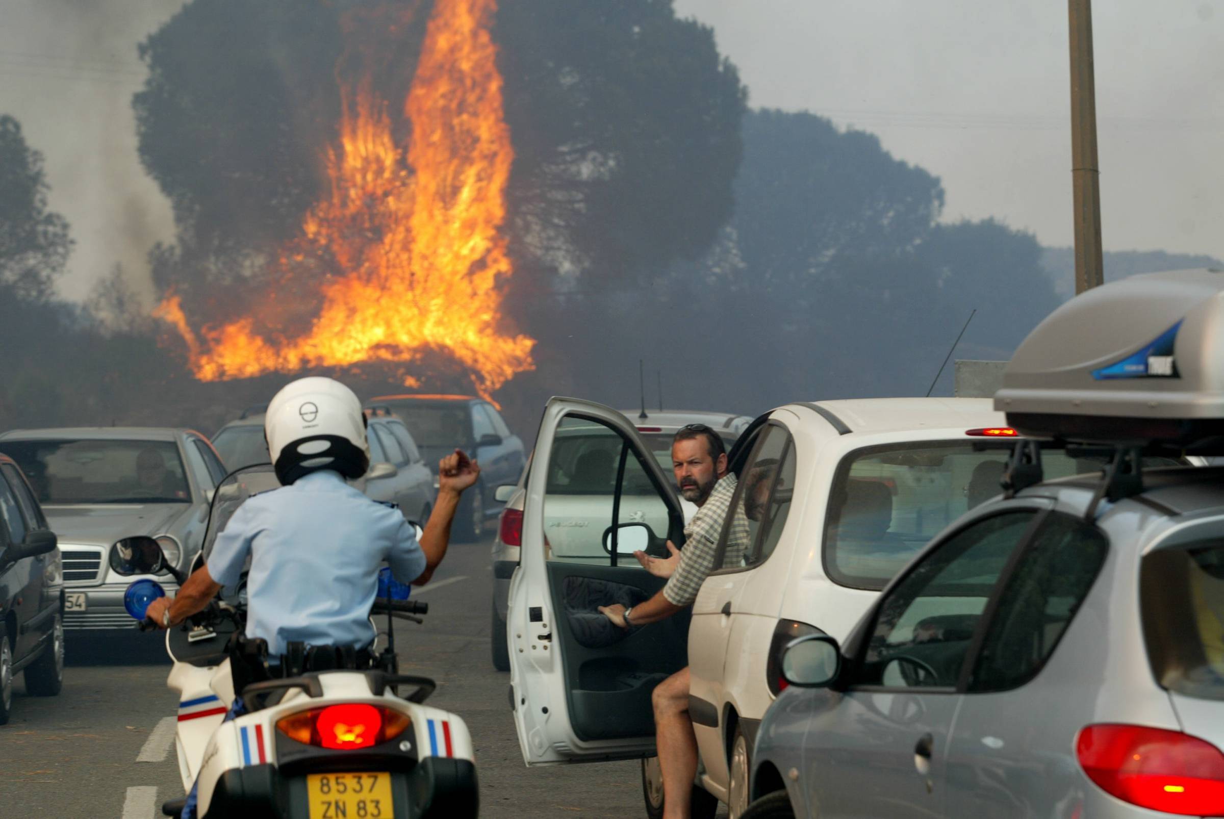 "Un été en enfer": il y a 20 ans, des incendies meurtriers s'acharnaient sur le Var