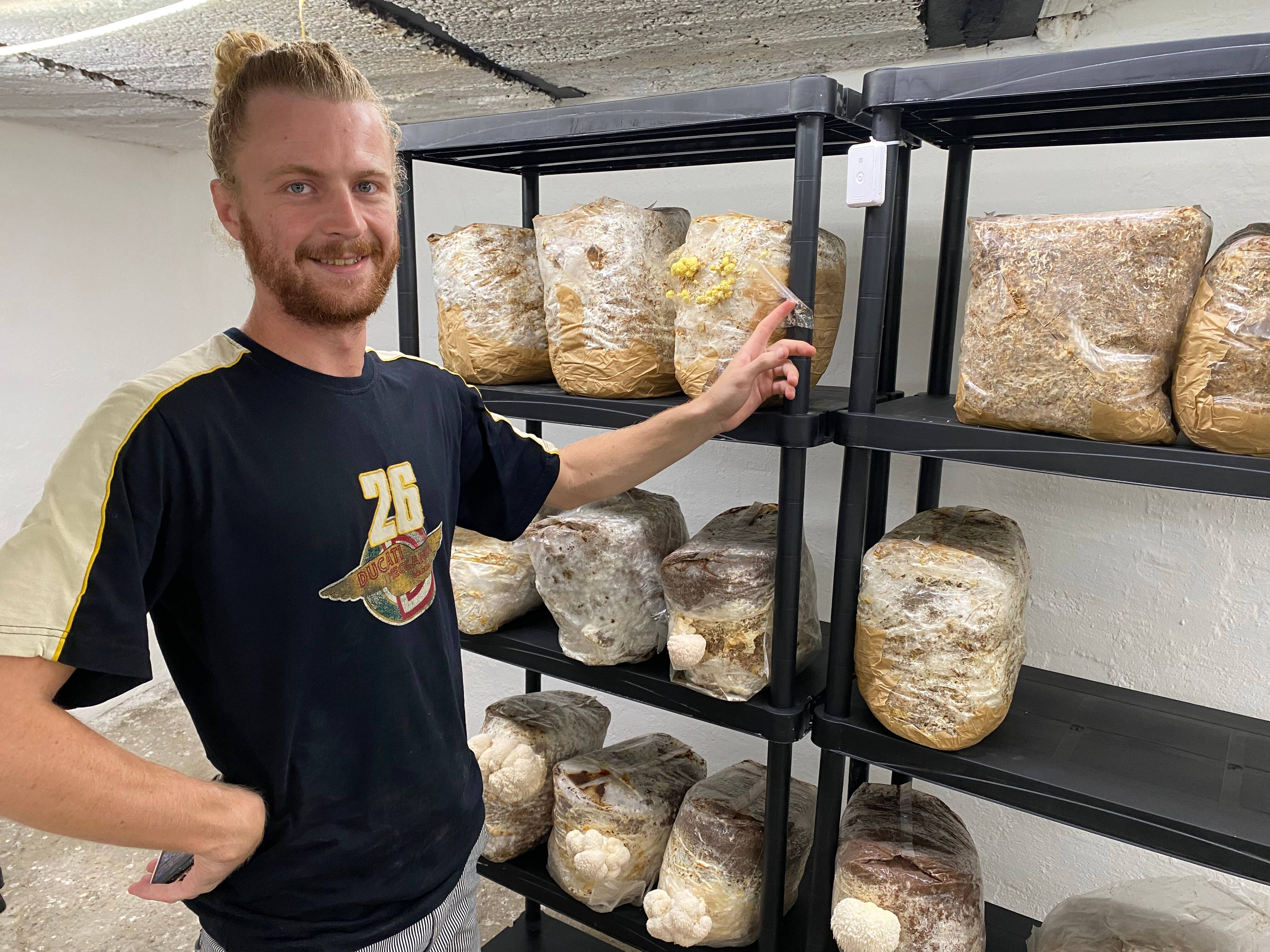 "Un super substitut à la viande": il produit des champignons dans un sous-sol de Cagnes-sur-Mer et les vend à des restaurants de la Côte d'Azur