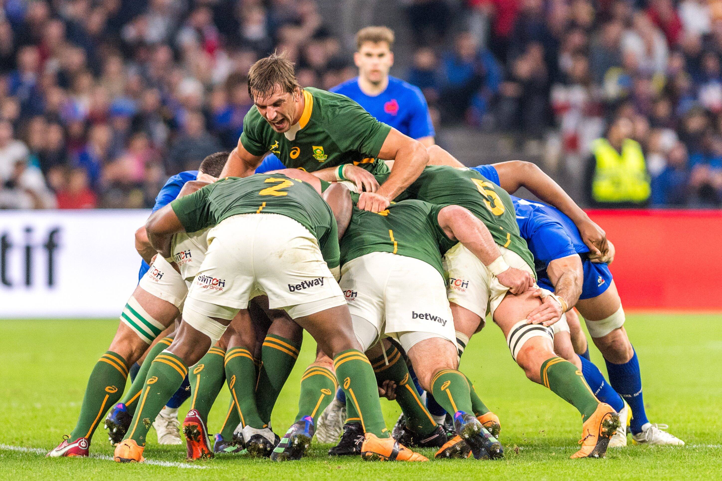 Coupe du monde de rugby: les Springboks plus que jamais candidats à leur propre succession