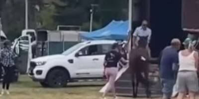 Jument violentée lors de la Fête du cheval à Levens: des associations de protection animale portent plainte contre la cavalière