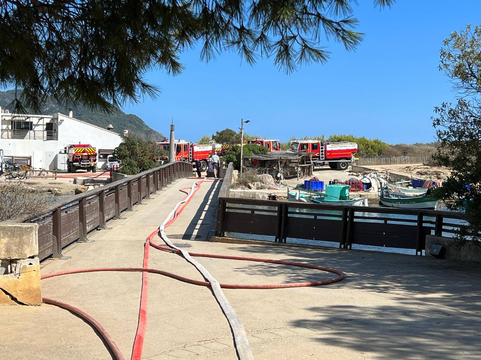 Après l'incendie sur l'île du Gaou à Six-Fours, des questions et des leçons