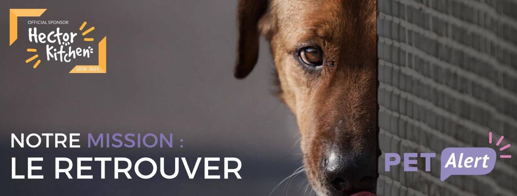 Un site Internet et une page Facebook pour retrouver vos animaux dans le Var