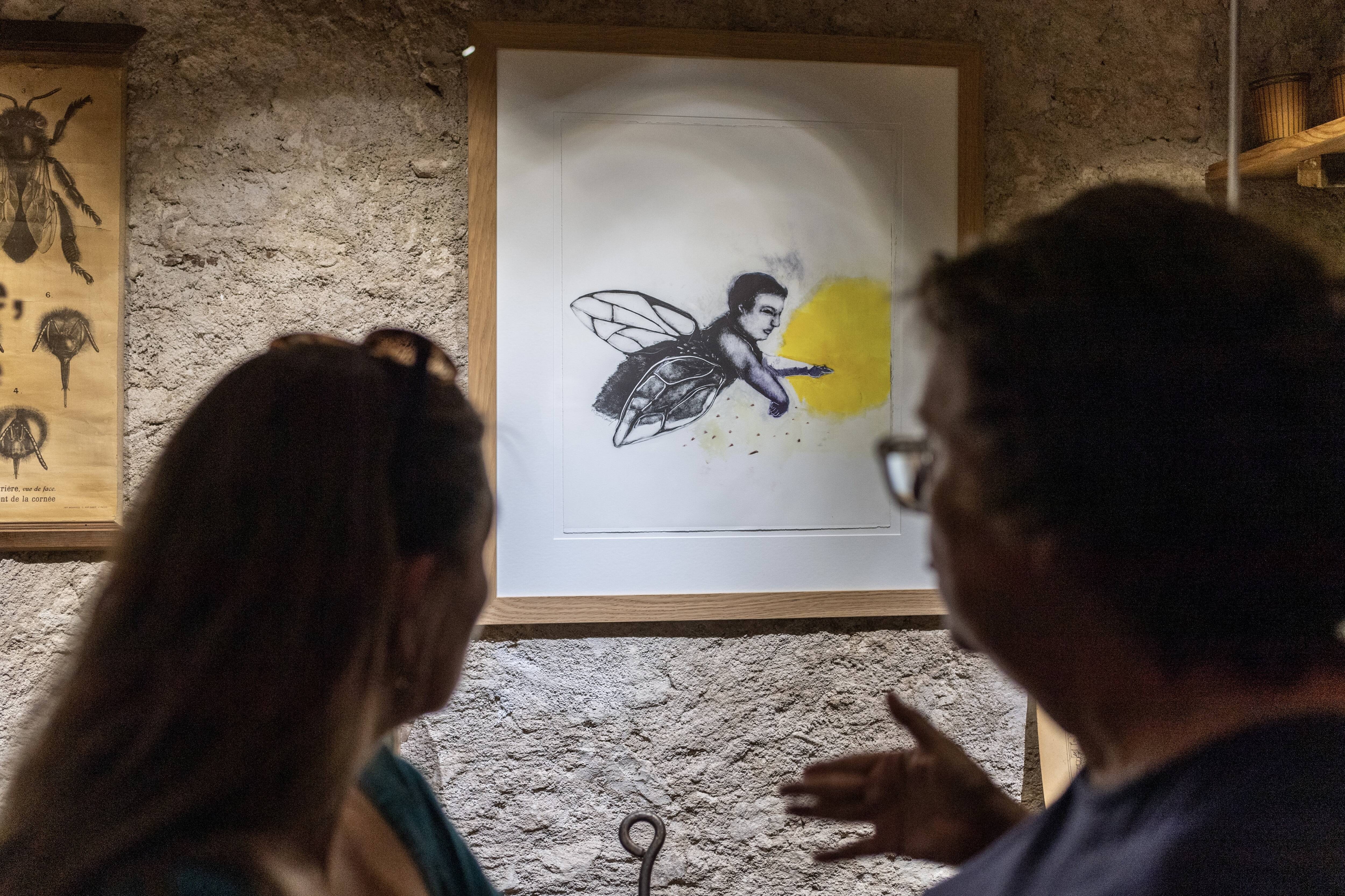 Voici les 5 expositions à ne surtout pas manquer cet été en Dracénie