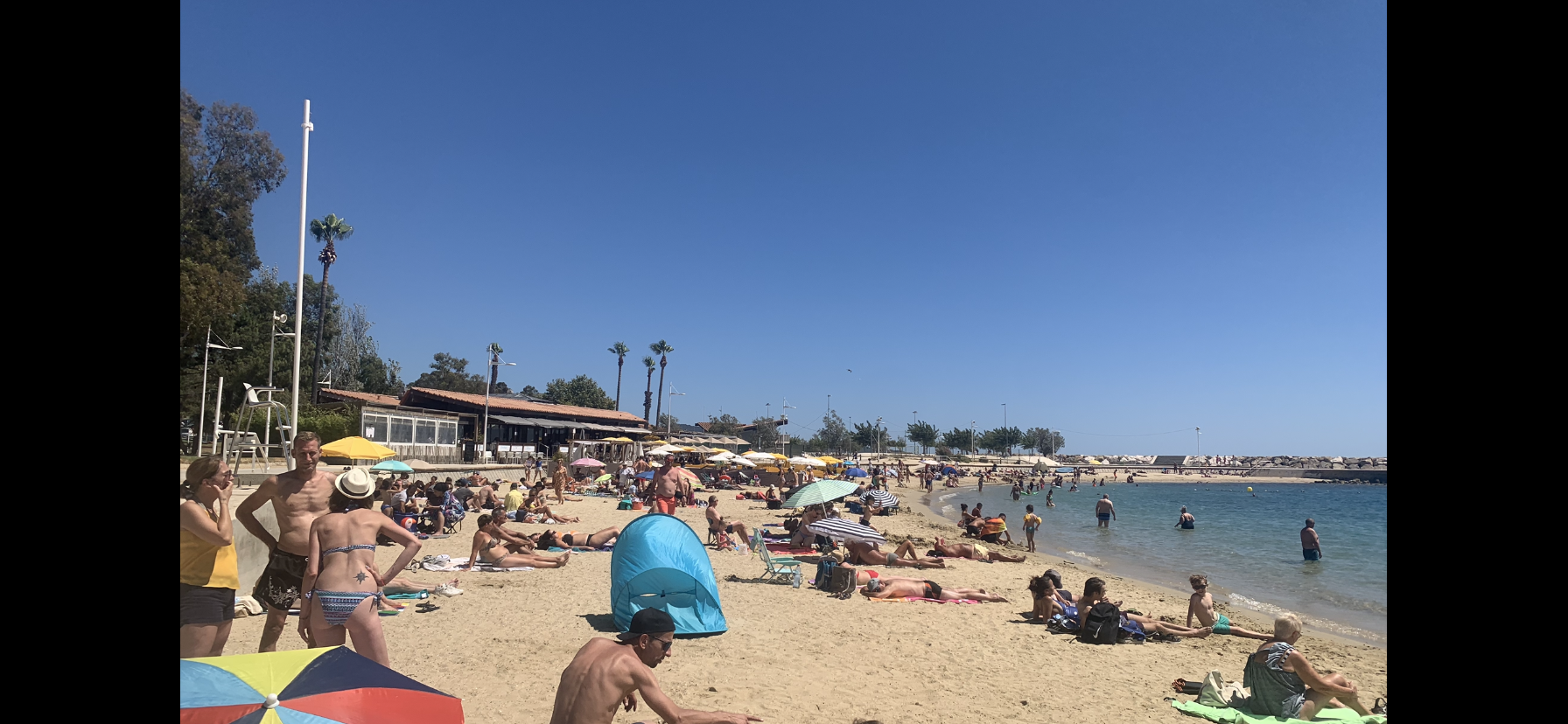 A Toulon, la mer est plus froide en ce début août que le 1er janvier pour le bain du Nouvel an