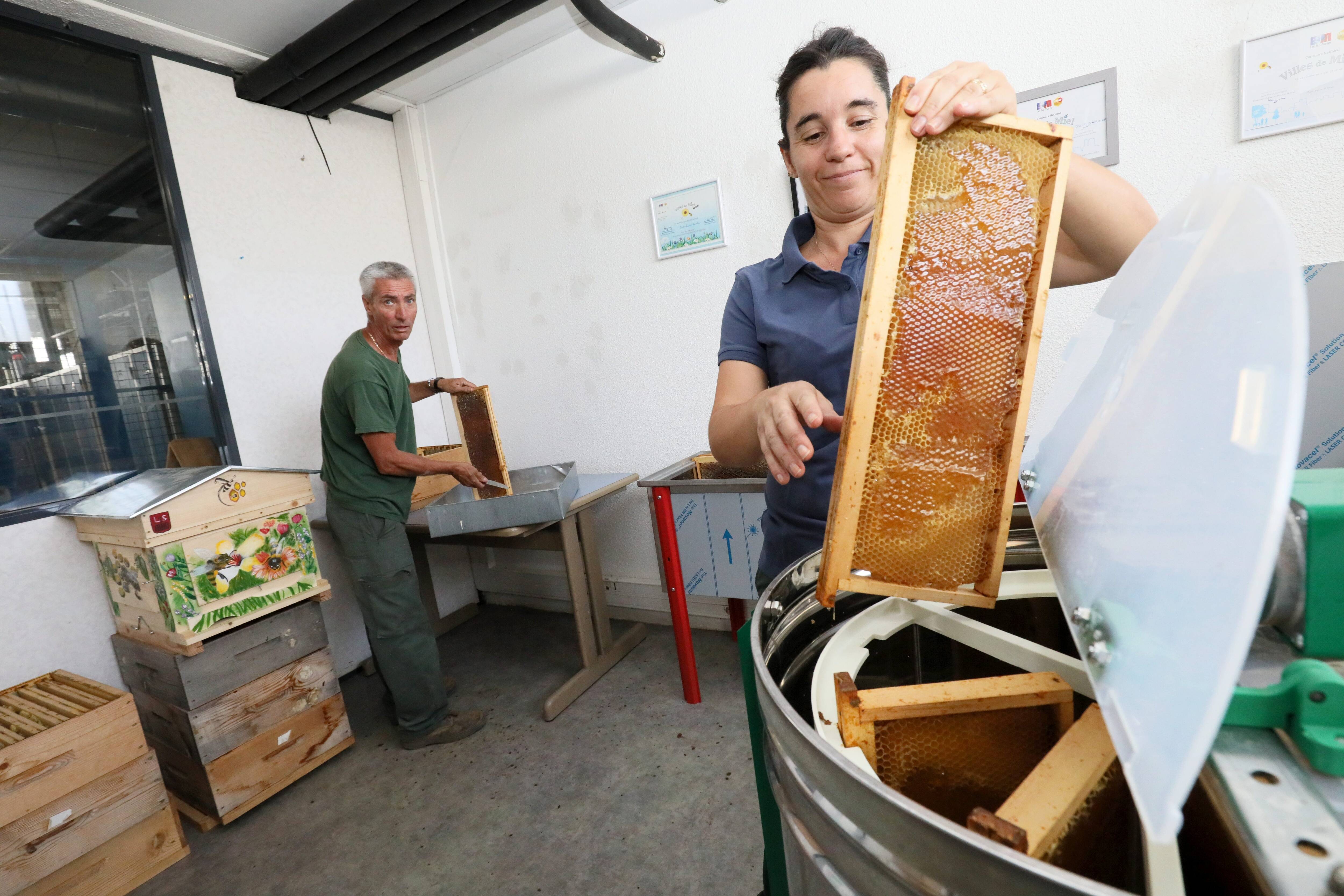 De nouveau primé cette année, quel impact a le miel de Saint-Laurent-du-Var sur la biodiversité de la ville?