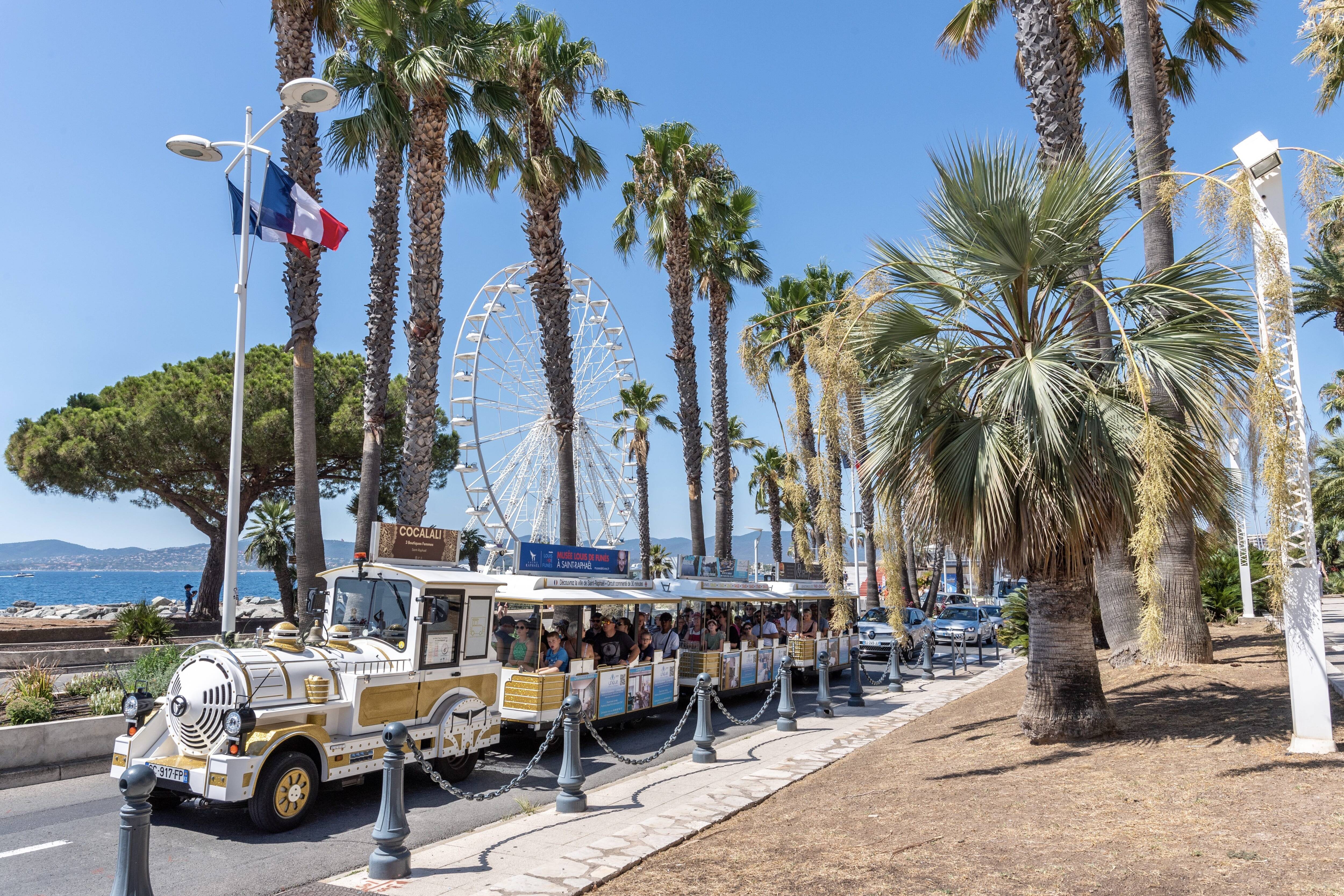 Charançon rouge du palmier: le traitement préventif devient obligatoire dans ces communes des Alpes-Maritimes et du Var