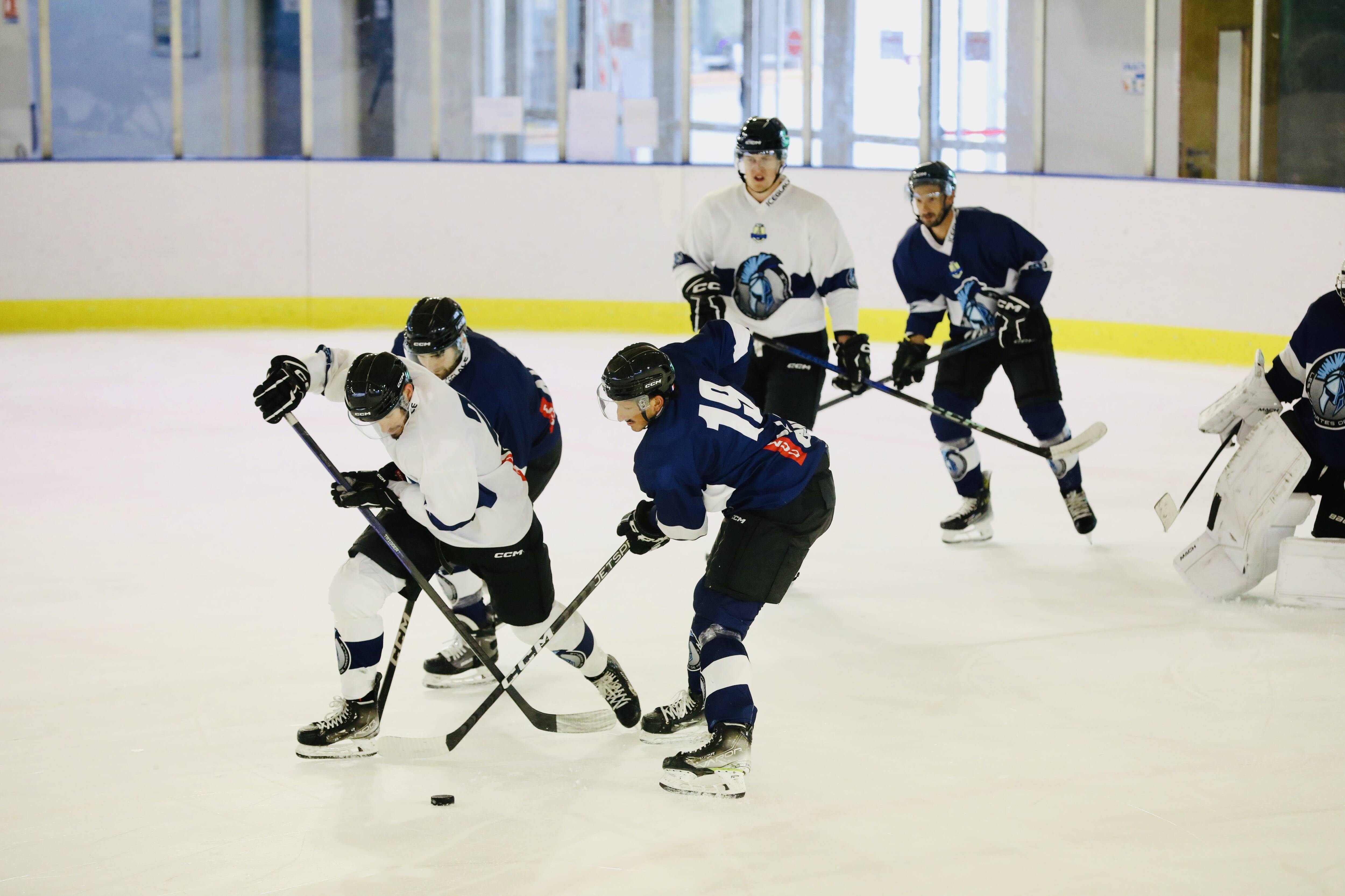 Hockey sur glace: des matches de Ligue Magnus à La Garde?
