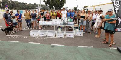 A Toulon, qui sont les participants aux collectes de déchets?