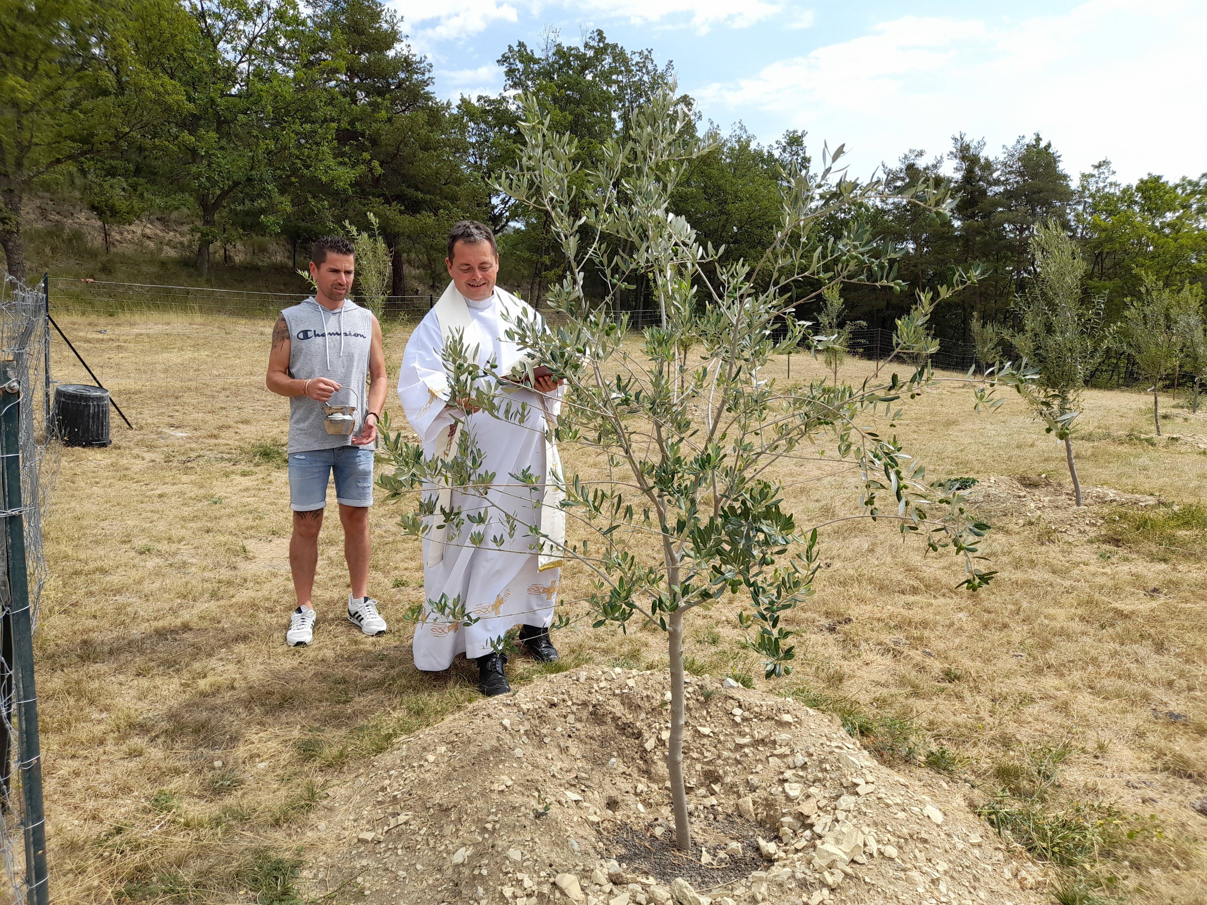 "C'est un gros défi technique et c'est l'inconnu": le pari de cet oléiculteur en herbe dans ce village de l'arrière-pays