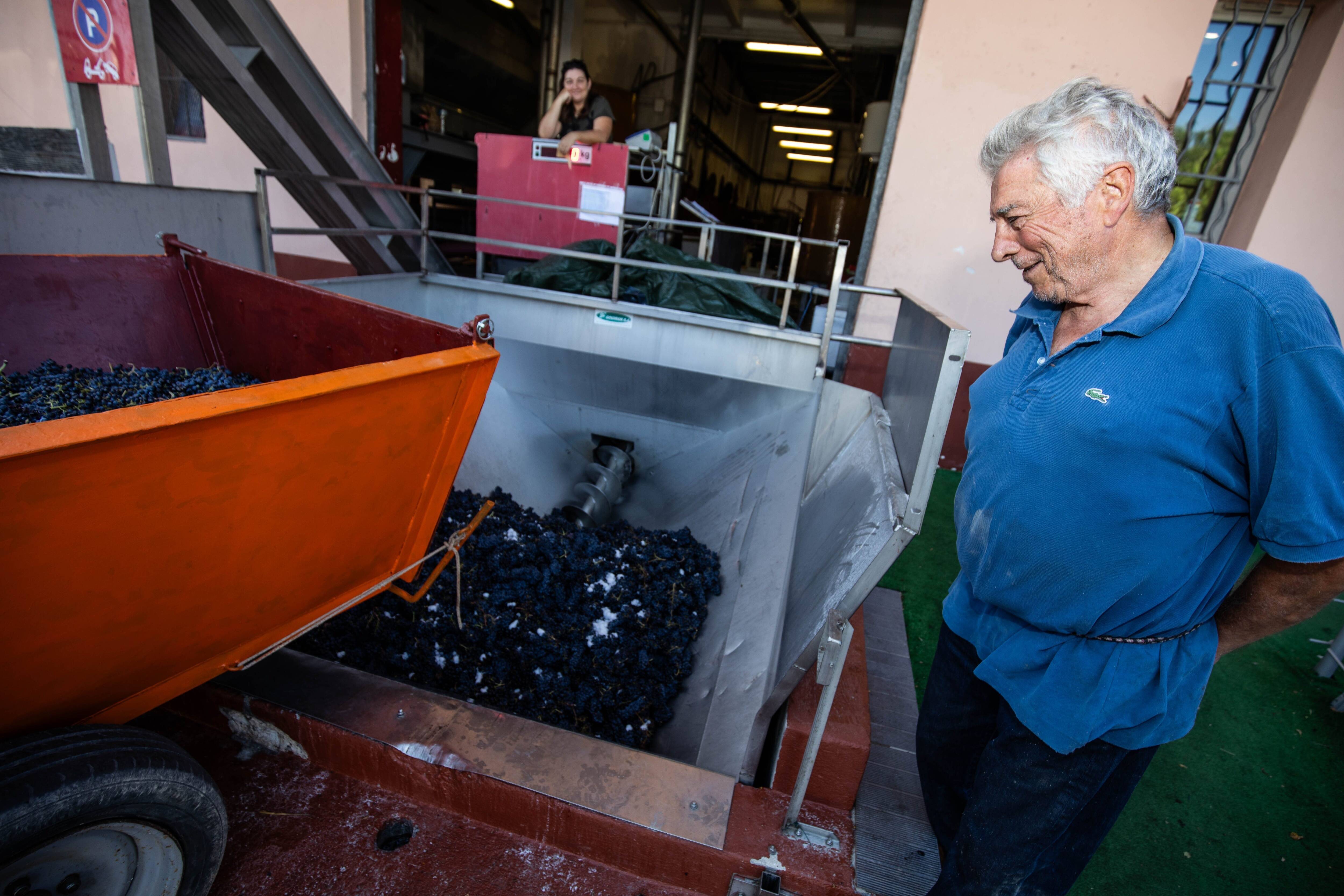 Plus d'un siècle de vinification pour la cave sanaryenne Syllazur: on vous emmène à la découverte de cette minuscule production