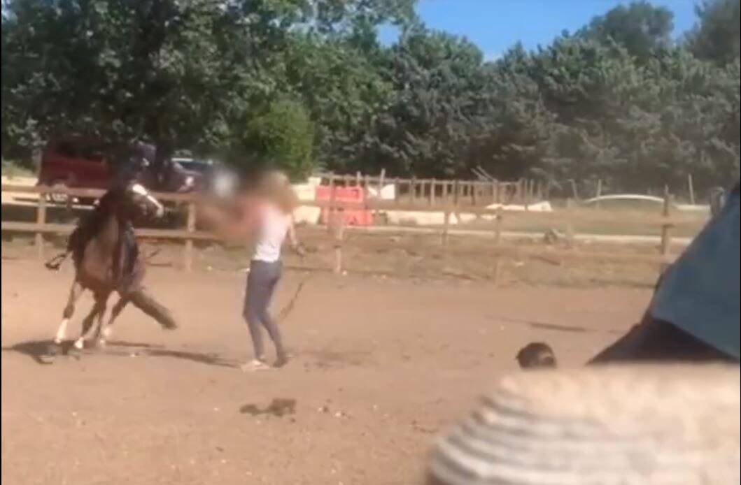 Un centre équestre du Var accusé d'actes de cruauté et de maltraitance: la directrice se défend