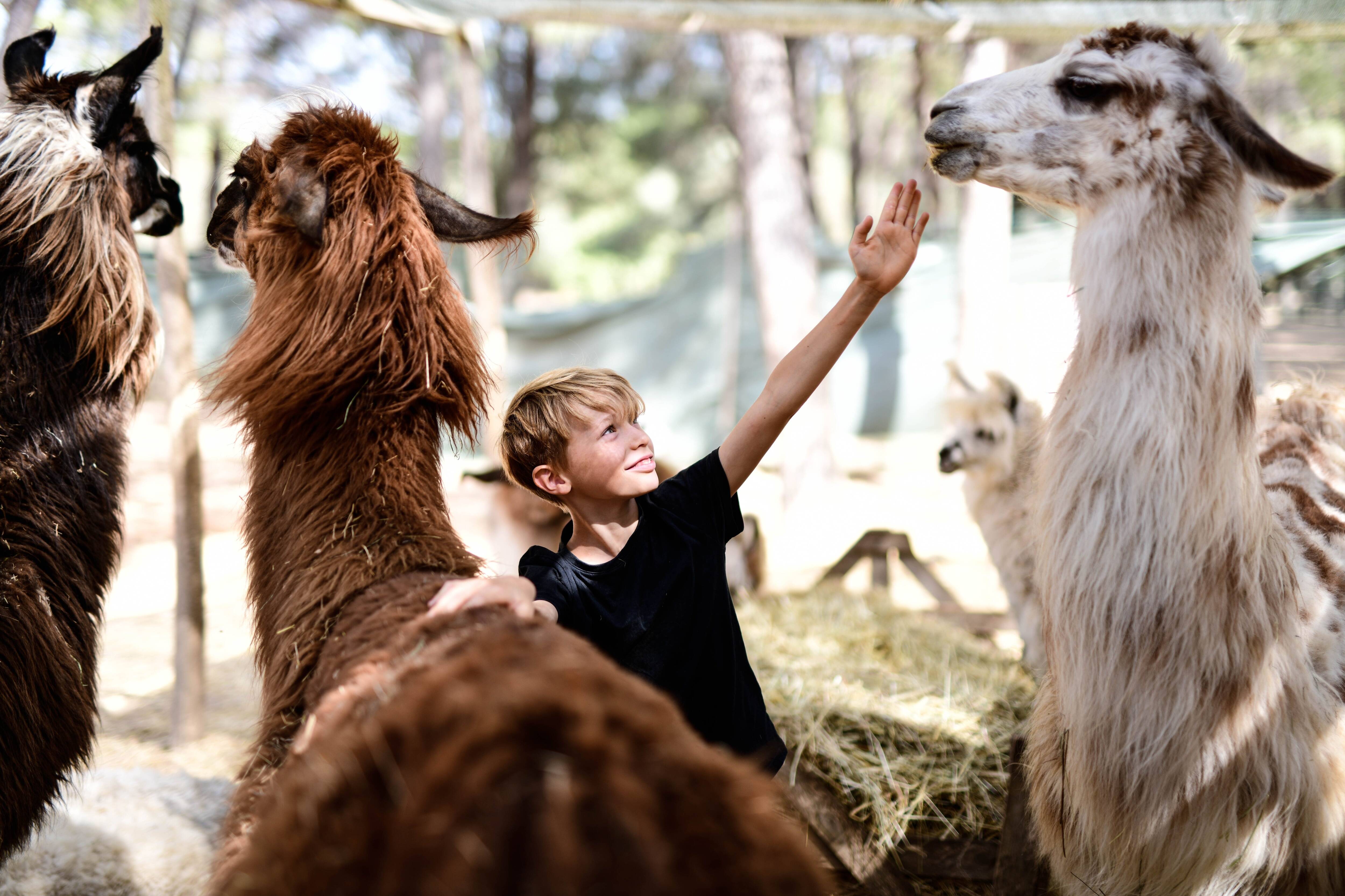 A 10 ans, ce jeune Varois est le vrai héros d'un livre pour enfants