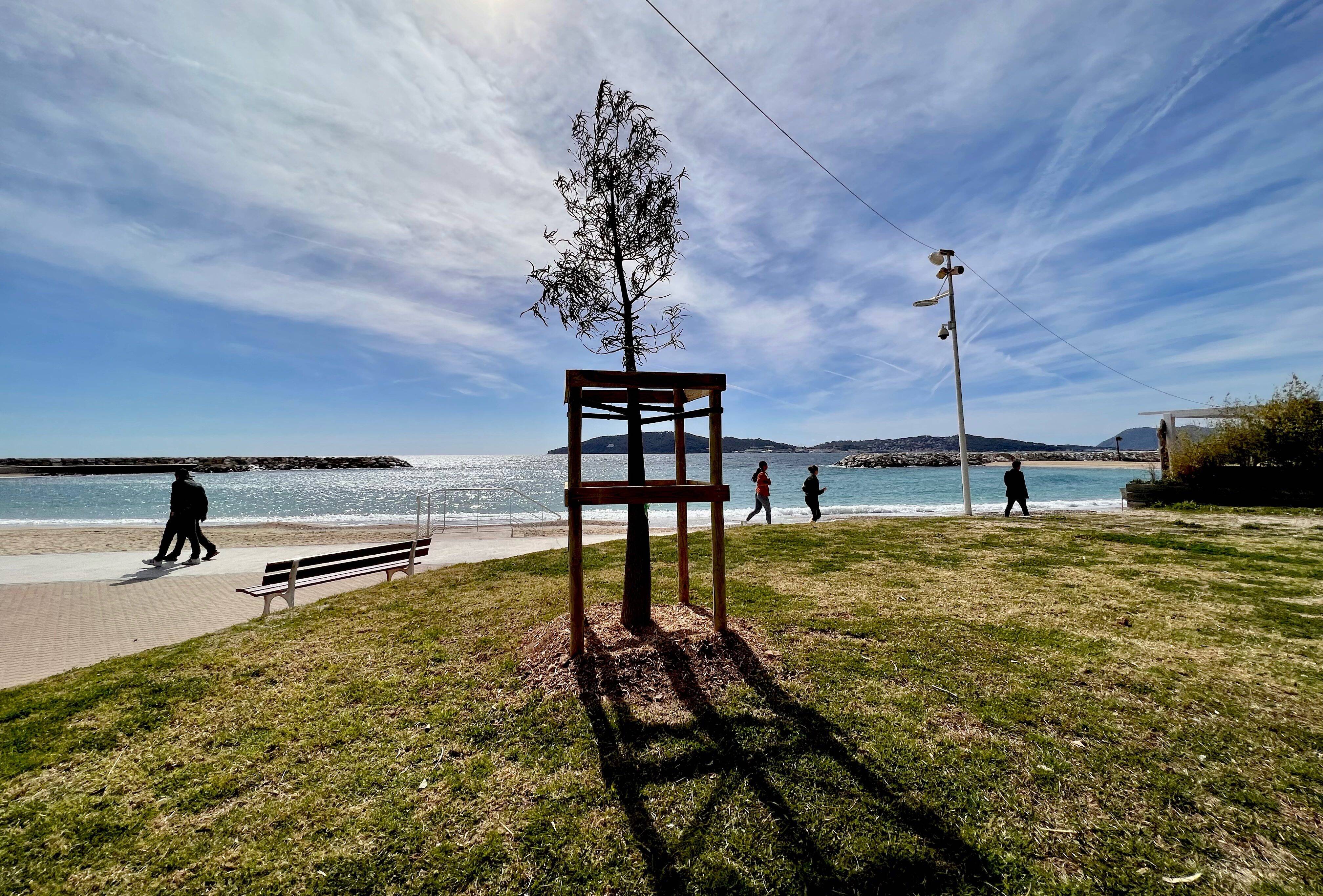 Cette plage de Toulon est fermée jusqu'à nouvel ordre en raison d'une "anomalie" dans les analyses
