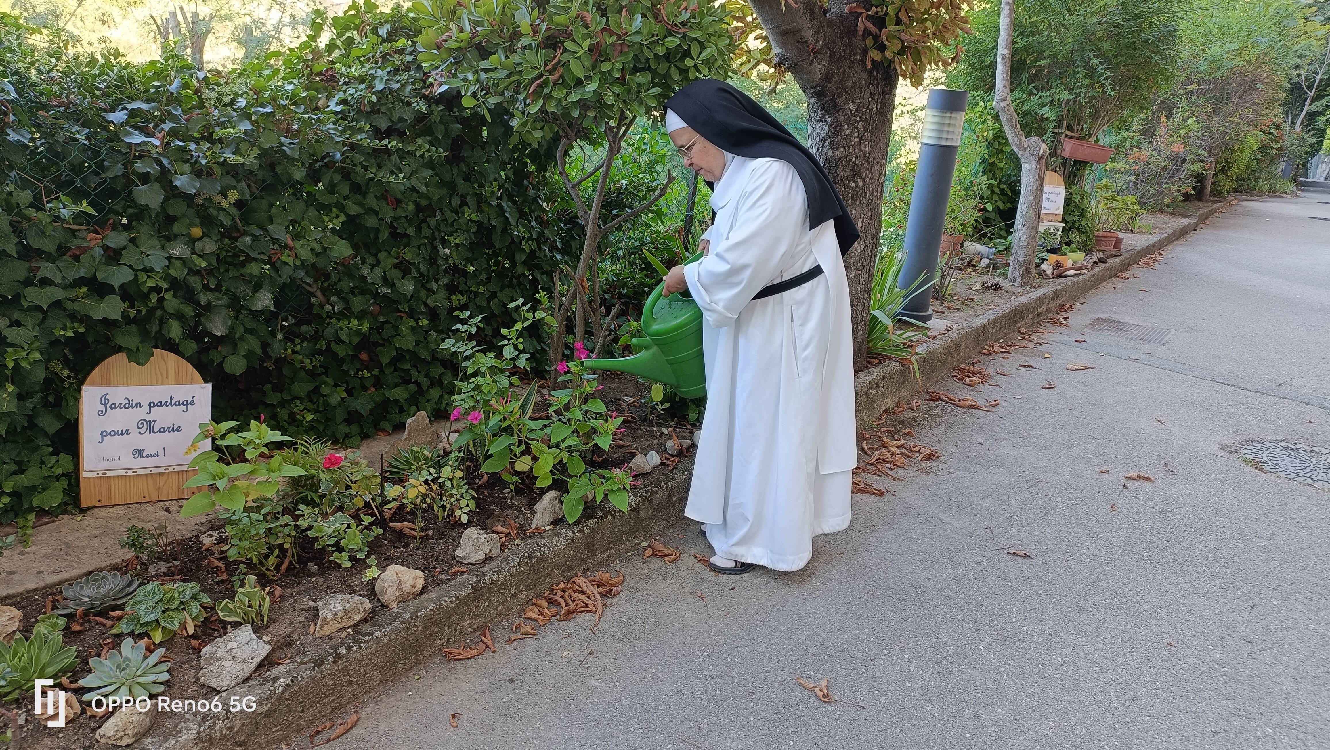 "On revient à des choses simples mais fortes qui font du bien": un jardin partagé pour tous vient d'ouvrir dans un lieu atypique de la région niçoise