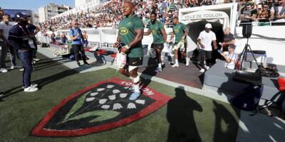Coupe du monde de rugby: les Sud-Africains comme à la maison à Toulon