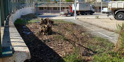 Le chantier du futur centre commercial à Nice a commencé, des arbres abattus