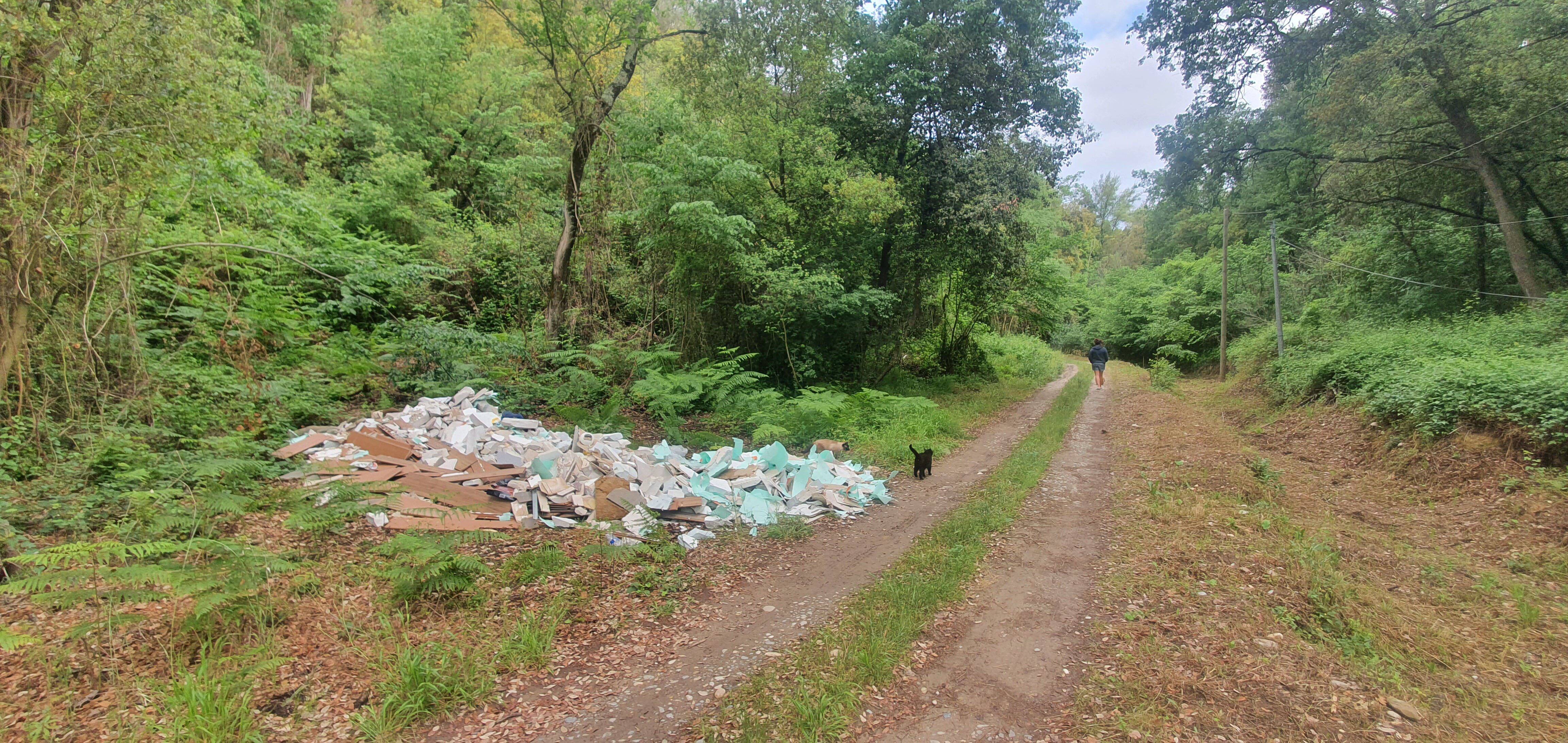 "On fait le déblayage avec nos petits bras": ces habitants sont exaspérés de subir des dépôts sauvages devant chez eux