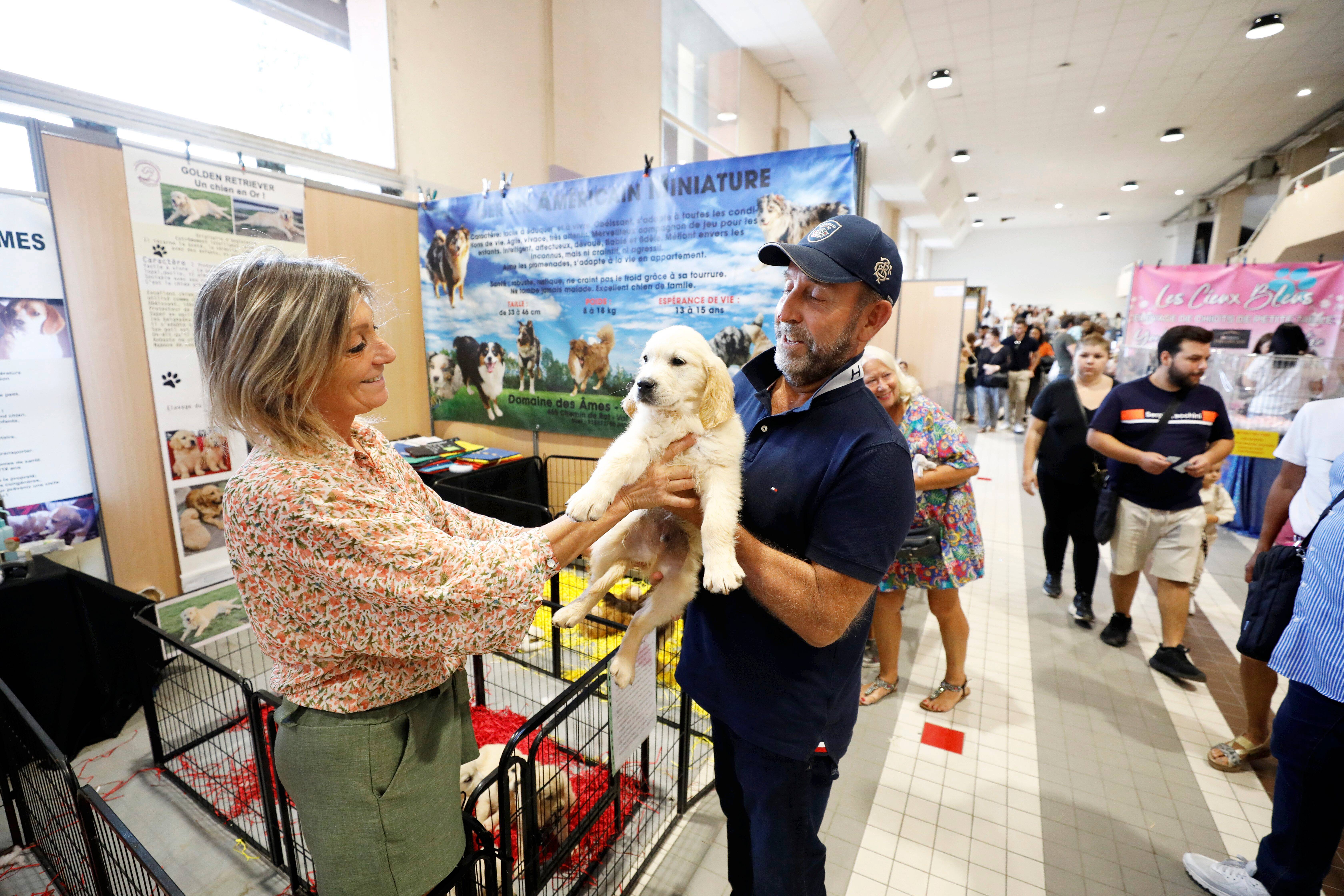 Tableaux personnalisés animaux de compagnie - Petits Compagnons