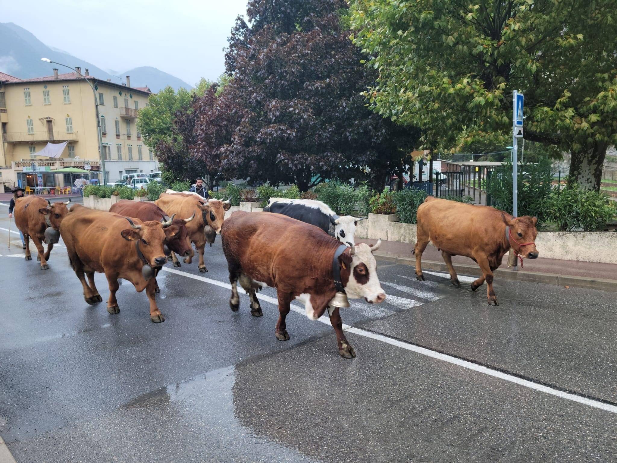 La foire agricole fait son retour ce dimanche Breil sur Roya