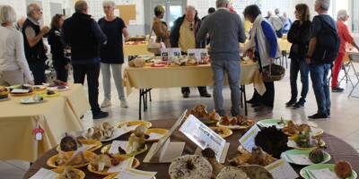La 20e édition du Salon du champignon organisée à Saint-Julien ce week-end