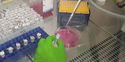 Fabrication de protéines essentielles à la vie: des chercheurs niçois font une percée scientifique majeure