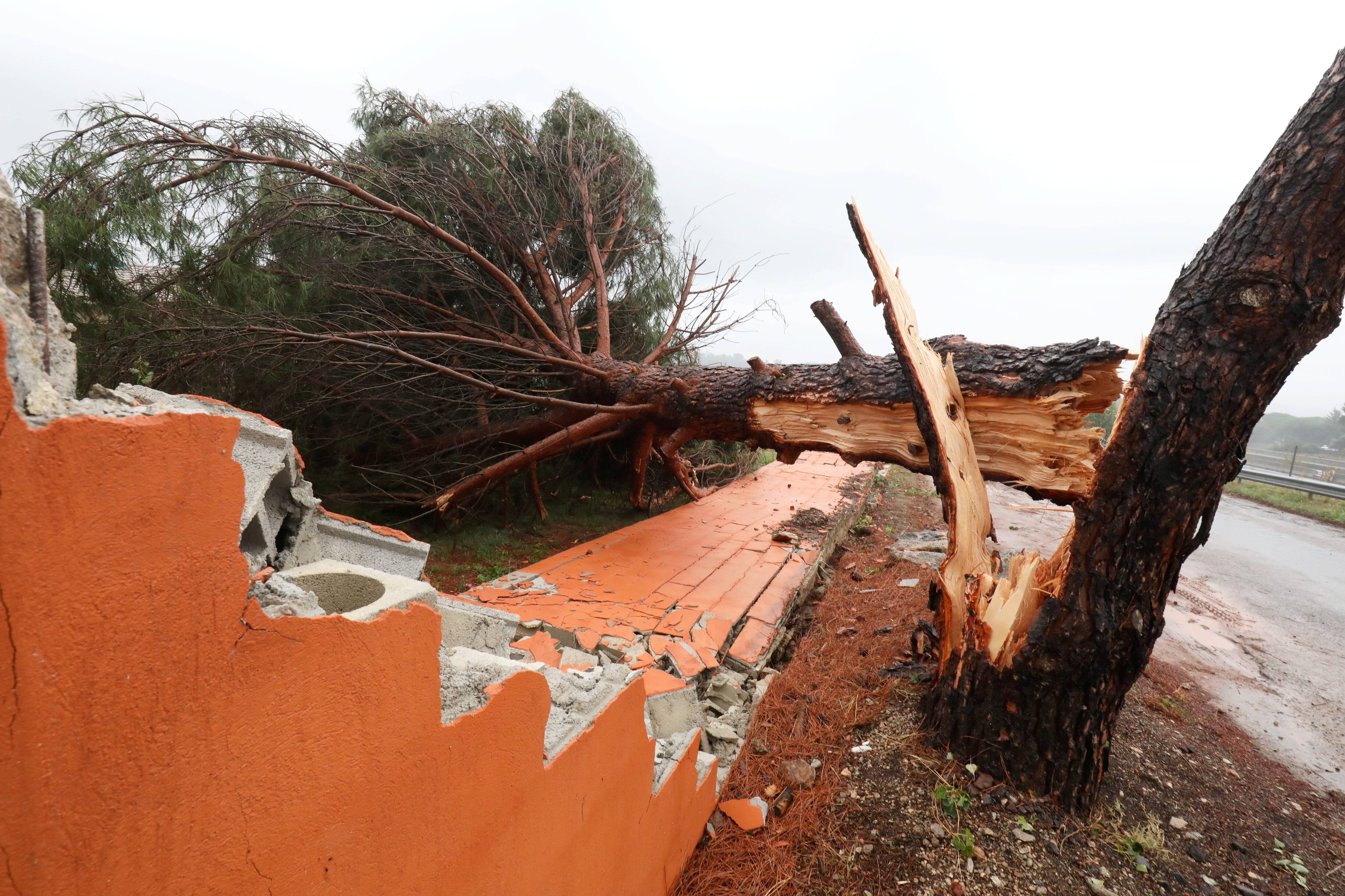 "Pour moi, c'était une tornade": la stupéfaction à Vidauban après le violent coup de vent qui a endommagé 22 maisons