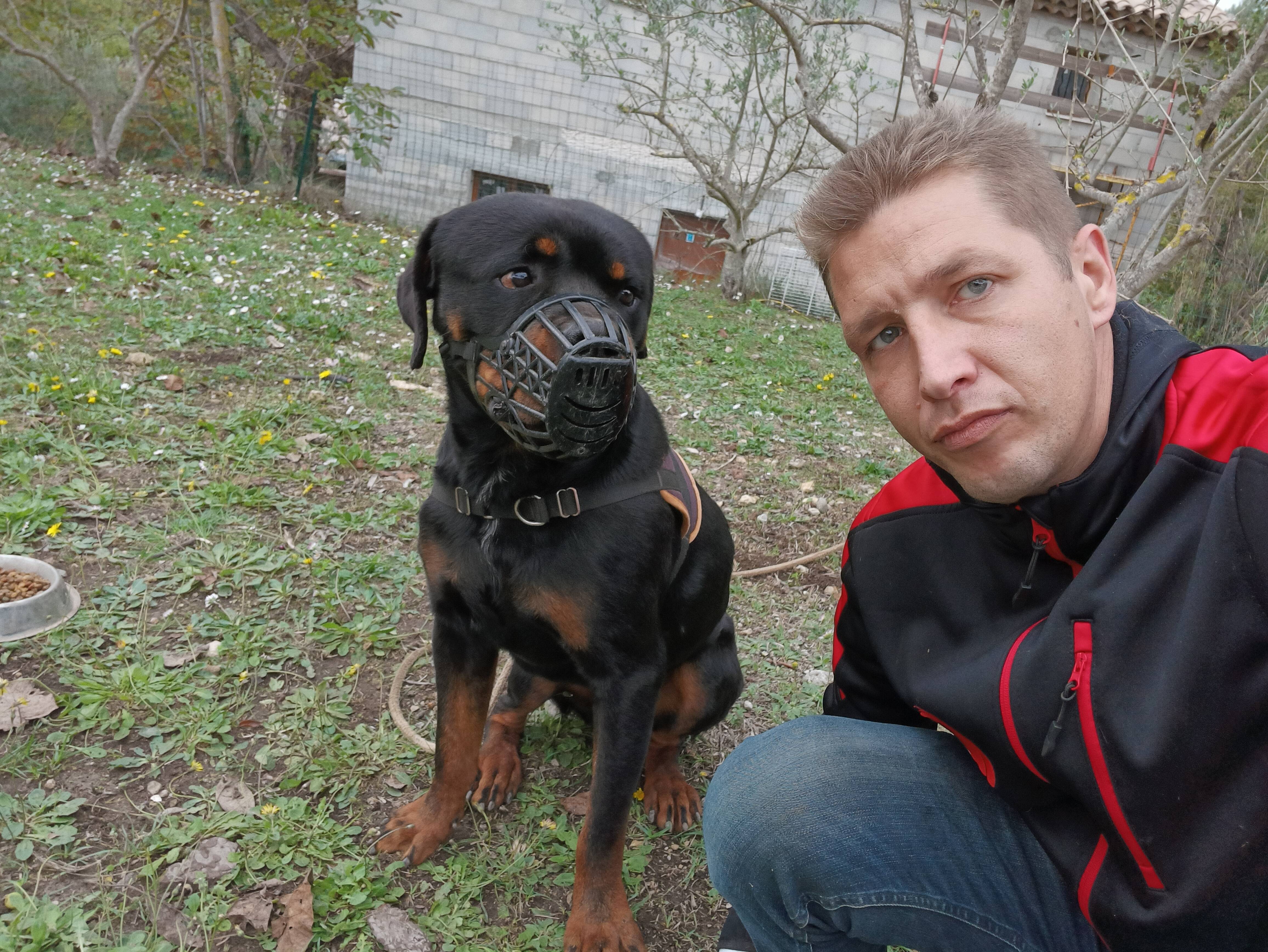 Attaché à un arbre depuis plusieurs jours, un chien sauvé de justesse près du lac de Saint-Cassien