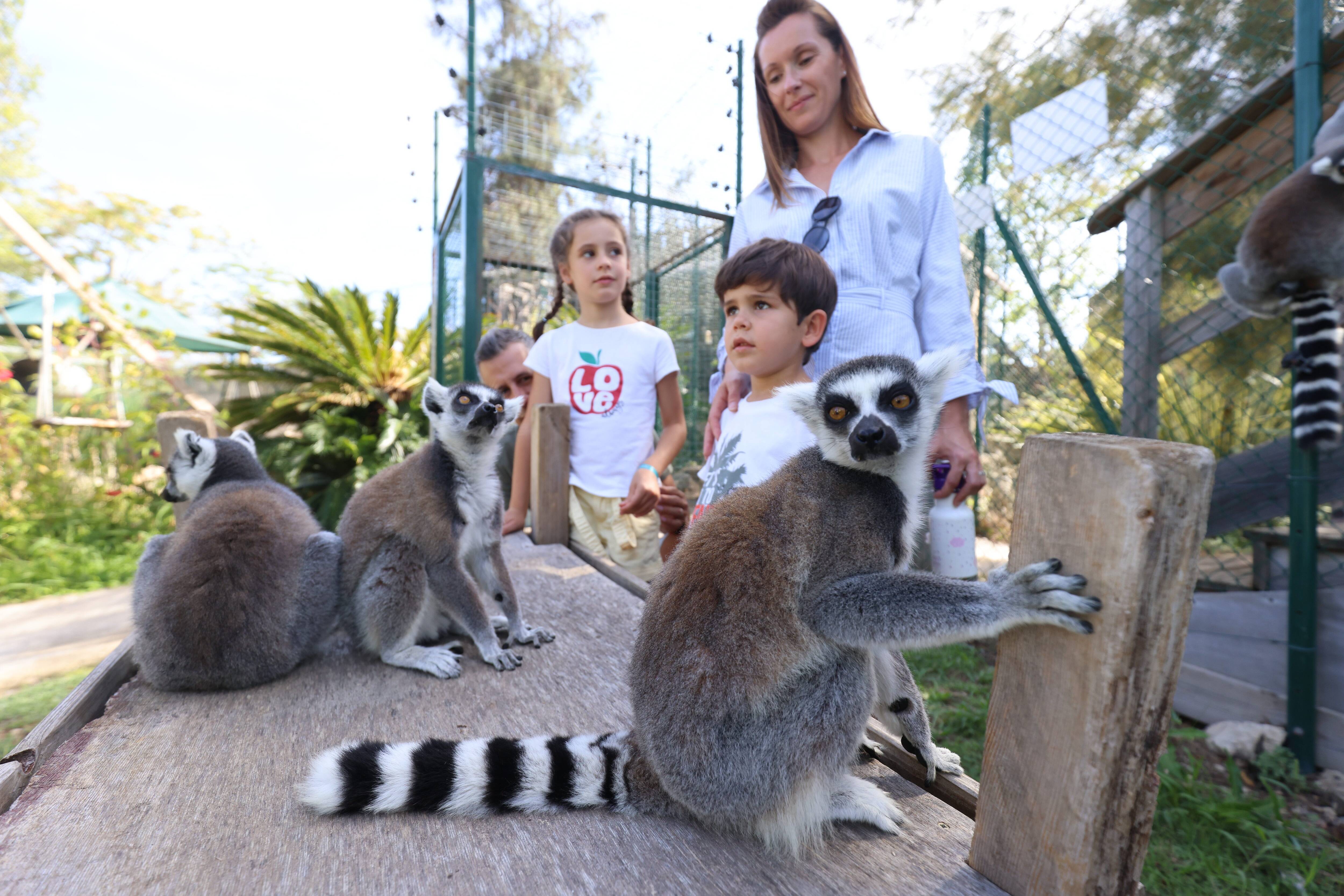 Trente-trois ans après son ouverture, clap de fin ce dimanche pour Kids Island à Marineland