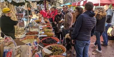 La stratégie touristique passe par l'olivier dans cette commune du Var