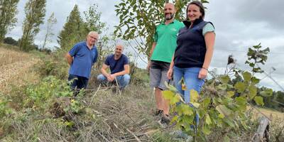 Contre les coulées de boues, pour la biodiversité, ils replantent des haies dans campagnes bretonnes
