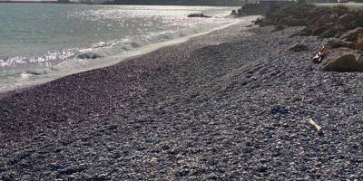 Les plages à l'est d'Antibes fermées à la baignade jusqu'à vendredi