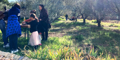 Sanary célèbre l'huile d'olive nouvelle ce week-end