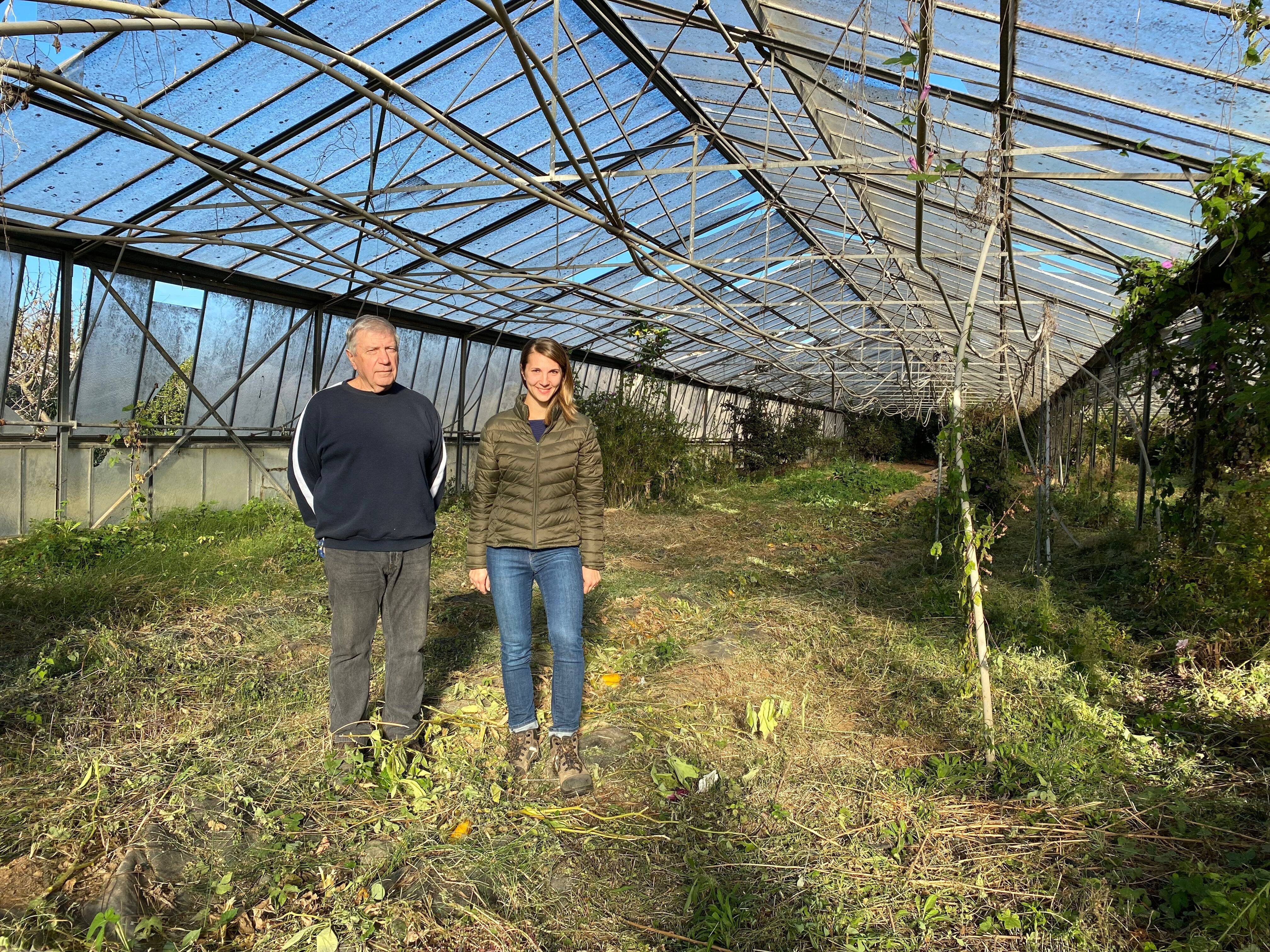 Comment l'horticulture veut reconquérir ses serres en friche dans le Var