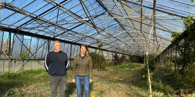 Comment l'horticulture veut reconquérir ses serres en friche dans le Var