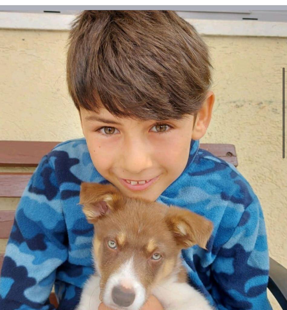 Le jeune Eitan ne fait pas partie des otages libérés par le Hamas: sa grand-mère niçoise témoigne et espère toujours le revoir