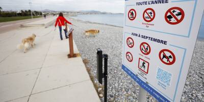 Après une erreur de la Ville, non cette plage de Cagnes-sur-Mer n'est pas interdite aux chiens