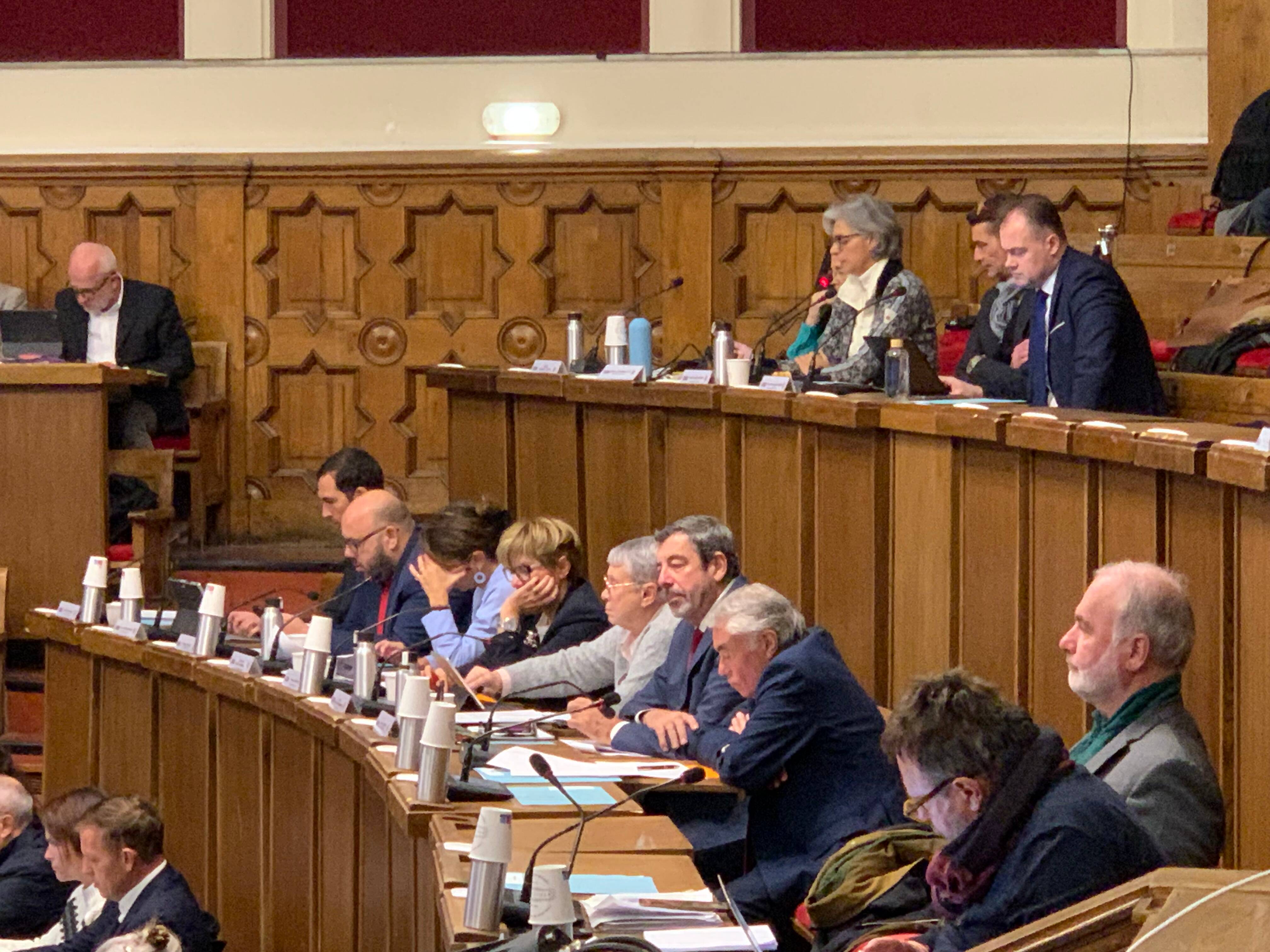 "Nous ne partageons pas cette euphorie générale": les JO d'hiver 2030 dans les Alpes n'emballent pas les écologistes niçois, ils demandent un référendum