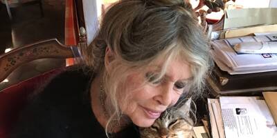 Brigitte Bardot dfend ladoption des sangliers par des particuliers
