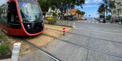 Pourquoi n'y a-t-il pas plus de gazon sur la voie du tram à Nice?