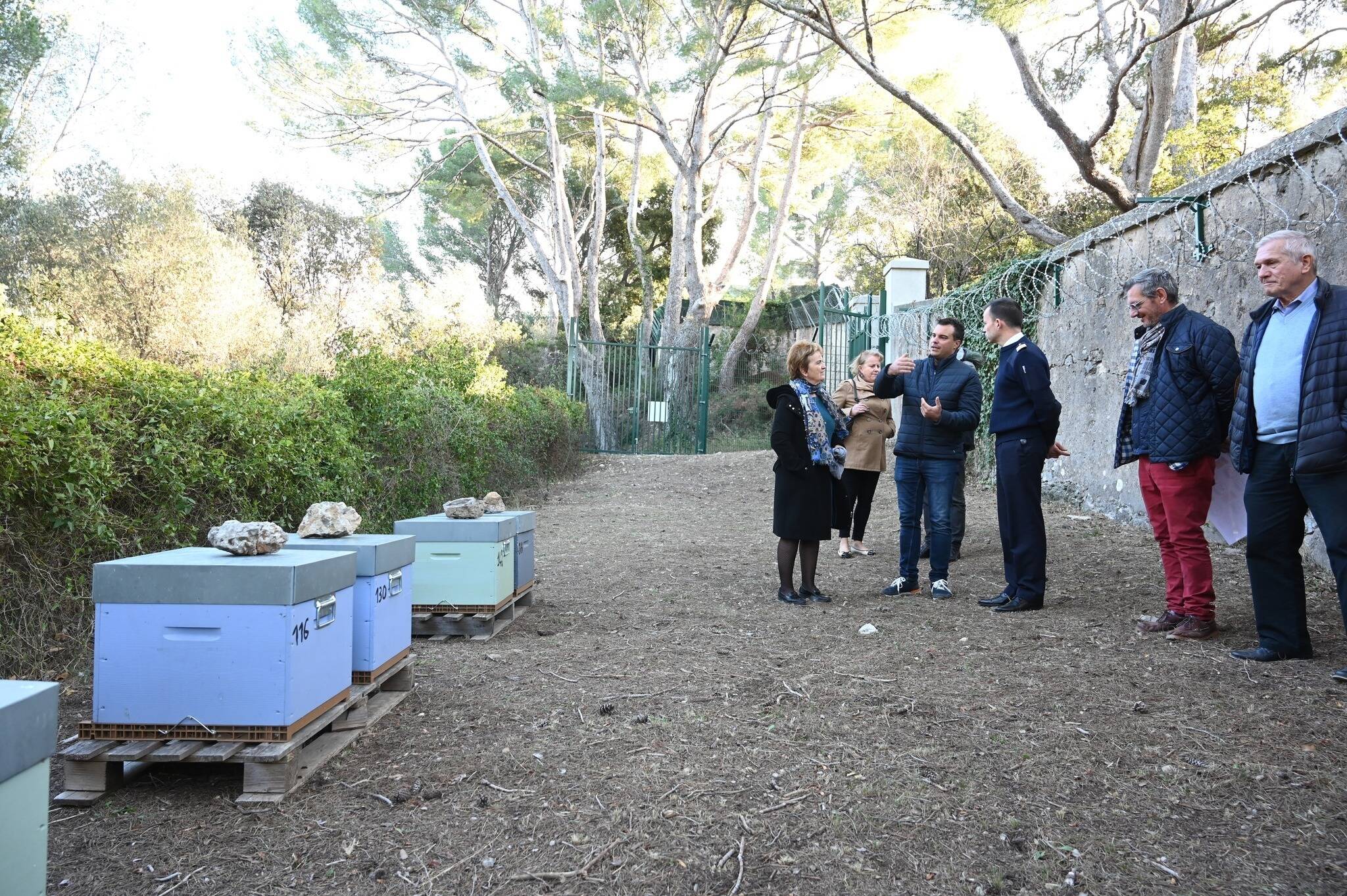 Protection des abeilles: un label qui fait le buzz à La Garde