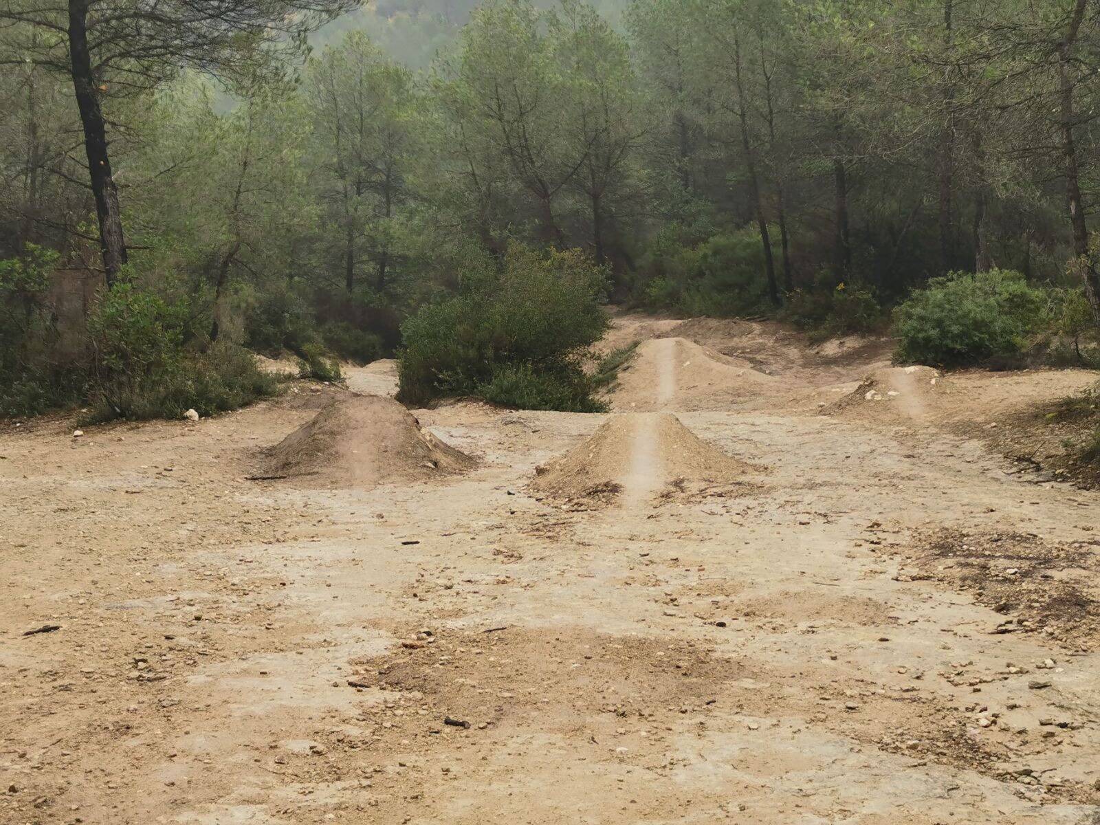 "C'est un vrai massacre sur la végétation": à Villeneuve-Loubet, où la balade en forêt est désormais en grande partie interdite, un élu témoigne de ce qu'il a vu sur place
