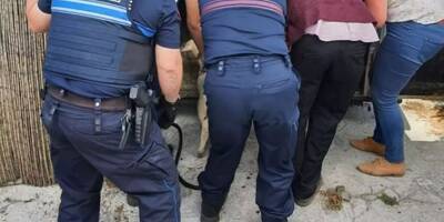 Élevage sauvage, animaux démembrés: prison avec sursis pour avoir abrité un abattoir clandestin à Nice