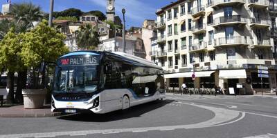 Vous êtes utilisateur du réseau Palm Bus à Cannes? Venez nous donner votre avis
