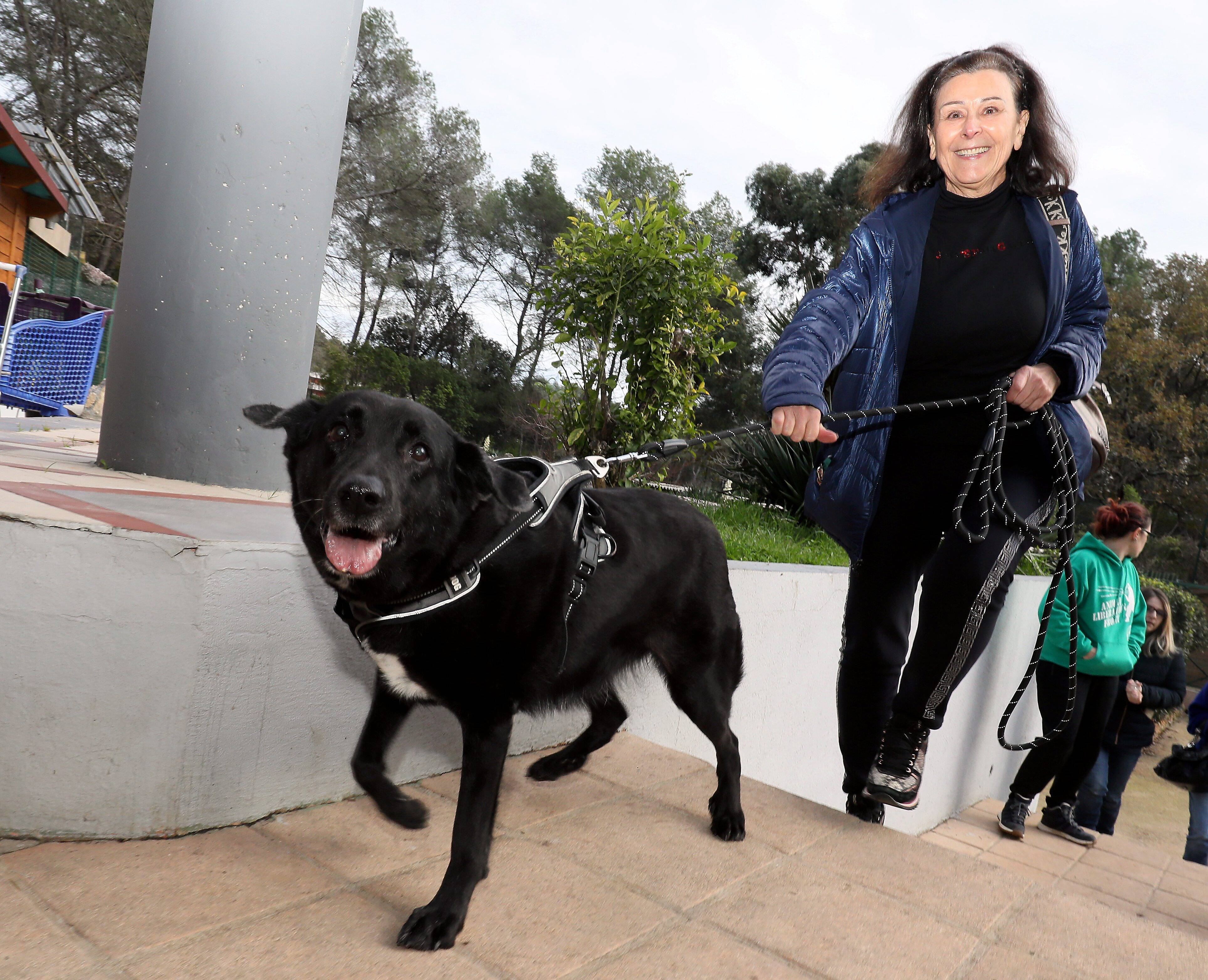 Après avoir vécu avec plus de 150 chats et 6 chiens, la nouvelle vie de Pépita