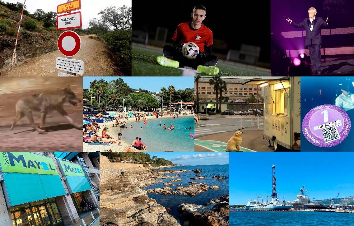 Sardou, un magot et un coup de foudre... Les articles que vous avez le plus lu sur notre site en 2023 dans l'aire toulonnaise