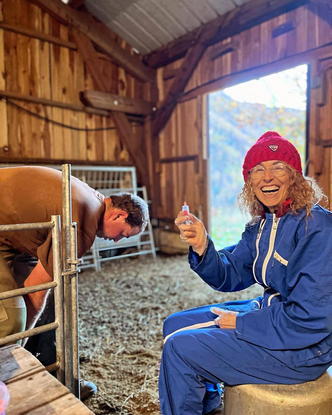 "Dans une rencontre entre le loup et l'homme, c'est toujours le loup qui perd", analyse cette vétérinaire du Parc Alpha